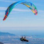 BGD Cure 3 - Image 6