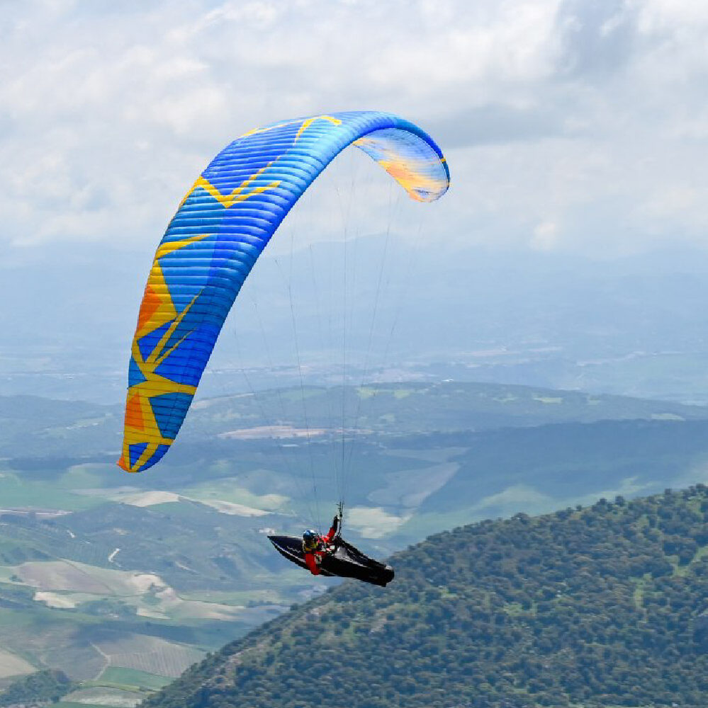 bgd-diva-2-01 BGD Diva 2 - Image 1