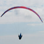 BGD Diva 2 - Image 5