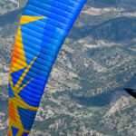 BGD Diva 2 - Image 7