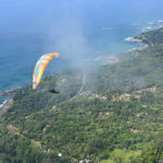 BGD Lynx 2 - Image 8