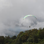 BGD Lynx 2 - Image 12