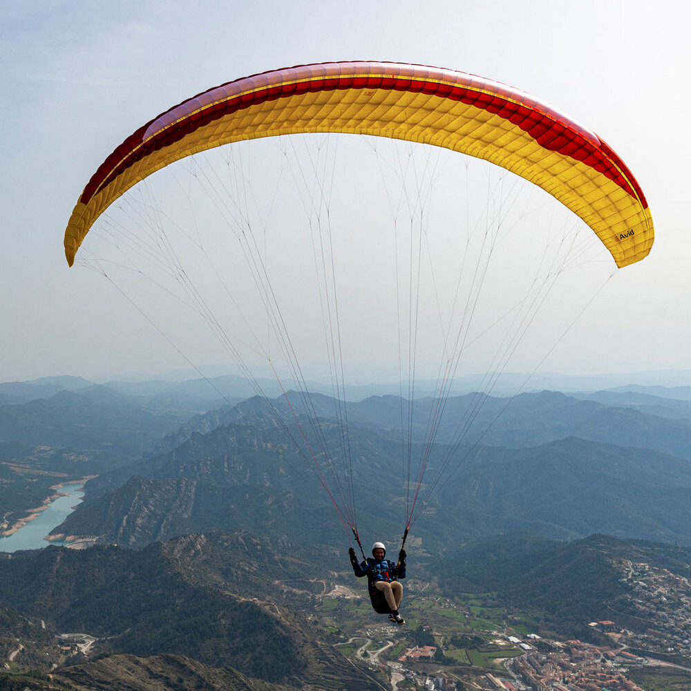 gin-avid-01 Gin Avid - Image 1