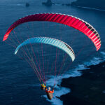 Gin Bolero 8 - Image 4