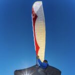 Gin Bonanza 3 - Image 3