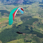 Gin Boomerang 12 - Image 4