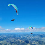 Gin Boomerang 12 - Image 5