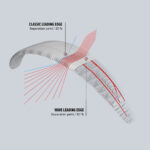 Gin Boomerang 12 - Image 14