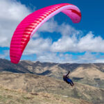 Gin Calypso 2 - Image 2