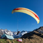 Gin Calypso 2 - Image 3