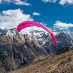 Gin Calypso 2 - Image 4