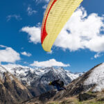 Gin Calypso 2 - Image 6