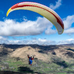 Gin Calypso 2 - Image 8