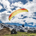 Gin Calypso 2 - Image 9