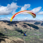 Gin Calypso 2 - Image 11