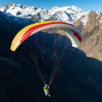 Gin Calypso 2 - Image 12