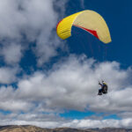 Gin Calypso 2 - Image 14