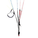 Gin Calypso 2 - Image 16