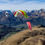 Gin Camino 2 - Image 2