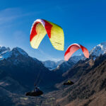 Gin Camino 2 - Image 4