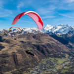 Gin Camino 2 - Image 6