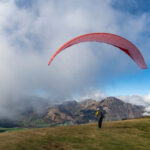 Gin Camino 2 - Image 7