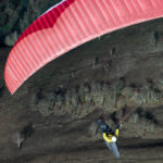 Gin Camino 2 - Image 9