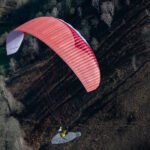 Gin Camino 2 - Image 12