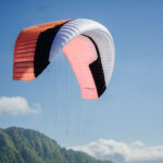 Gin Elise - Image 11