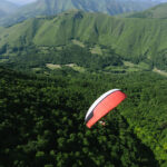 Gin Elise - Image 12