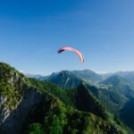 Gin Elise - Image 13