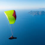 Gin Evora - Image 10