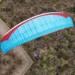 Gin Evora - Image 11