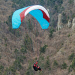 Gin Evora - Image 12