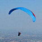 Gin Evora - Image 13