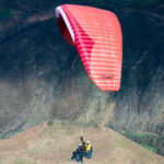 Gin Fuse 4 - Image 4