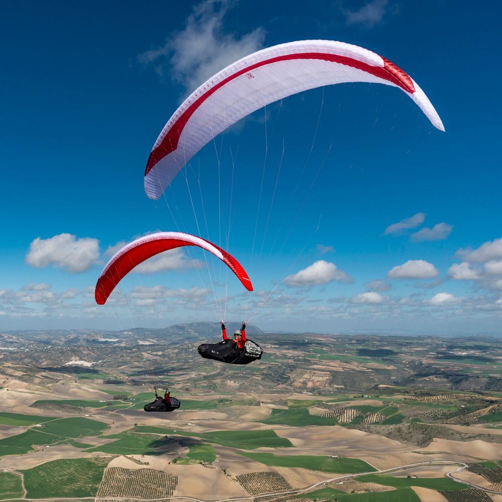 gin-leopard-01 Gin Leopard - Image 1