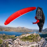 Gin Leopard - Image 3