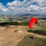 Gin Leopard - Image 4