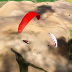 Gin Leopard - Image 5