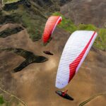 Gin Leopard - Image 7