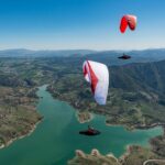 Gin Leopard - Image 8