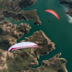 Gin Leopard - Image 9