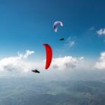 Gin Leopard - Image 11