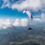 Gin Leopard - Image 12