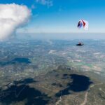 Gin Leopard - Image 13