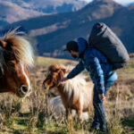 GIN Switch 2 - Image 19