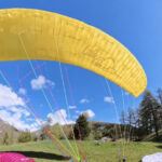 LittleCloud Puffin V2 - Image 12