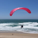 LittleCloud The Spiruline - Image 2