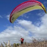 AirDesign SuSi XPed - Image 6